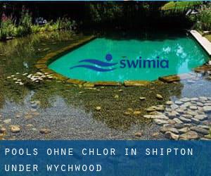 Pools-ohne-chlor in Shipton under Wychwood