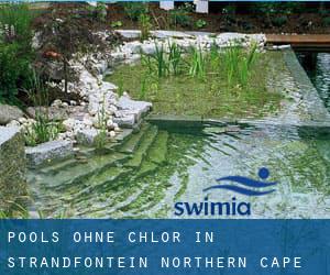 Pools-ohne-chlor in Strandfontein (Northern Cape)