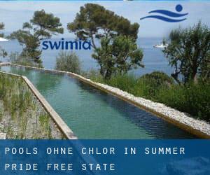 Pools-ohne-chlor in Summer Pride (Free State)