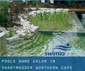 Pools-ohne-chlor in Swartmodder (Northern Cape)