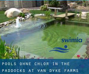 Pools-ohne-chlor in The Paddocks at Van Dyke Farms