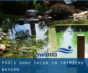 Pools-ohne-chlor in Trimberg (Bayern)