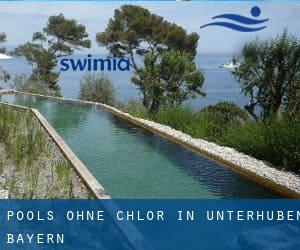 Pools-ohne-chlor in Unterhuben (Bayern)