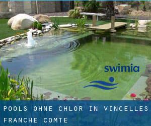 Pools-ohne-chlor in Vincelles (Franche-Comté)