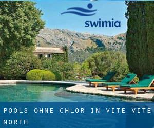 Pools-ohne-chlor in Vite Vite North