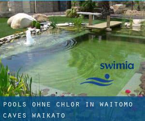 Pools-ohne-chlor in Waitomo Caves (Waikato)