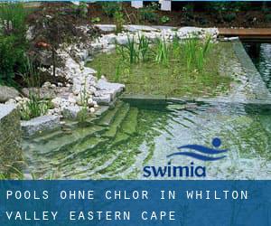 Pools-ohne-chlor in Whilton Valley (Eastern Cape)