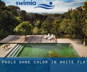 Pools-ohne-chlor in White Flat