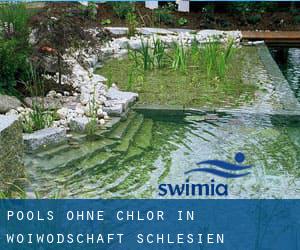 Pools-ohne-chlor in Woiwodschaft Schlesien