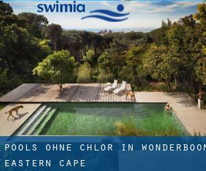 Pools-ohne-chlor in Wonderboom (Eastern Cape)