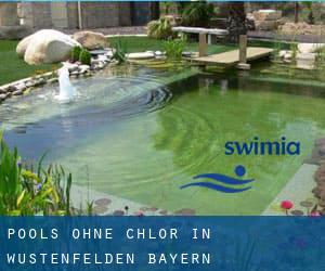 Pools-ohne-chlor in Wüstenfelden (Bayern)