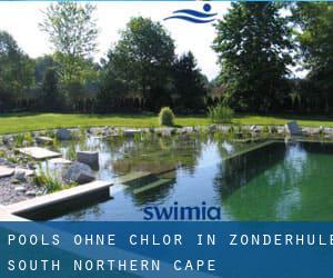 Pools-ohne-chlor in Zonderhule South (Northern Cape)