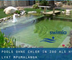 Pools-ohne-chlor in Zoo Als Hy Lykt (Mpumalanga)