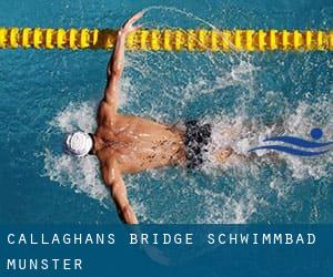 Callaghan's Bridge Schwimmbad (Munster)