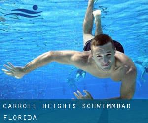 Carroll Heights Schwimmbad (Florida)