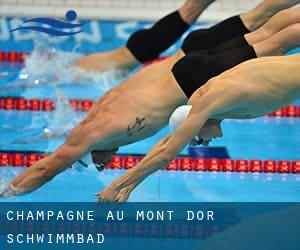 Champagne-au-Mont-d'Or Schwimmbad