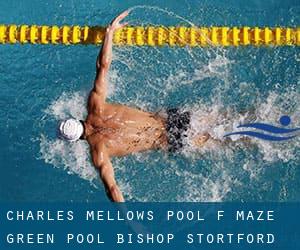 Charles Mellows Pool (f. Maze Green Pool) - Bishop Stortford Collge