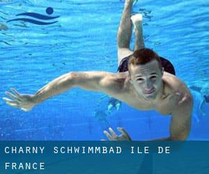 Charny Schwimmbad (Île-de-France)