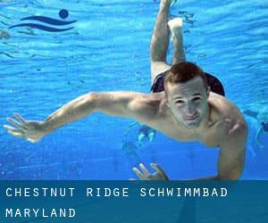 Chestnut Ridge Schwimmbad (Maryland)