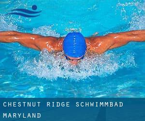 Chestnut Ridge Schwimmbad (Maryland)