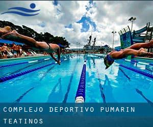 Complejo Deportivo Pumarín-Teatinos