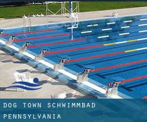 Dog Town Schwimmbad (Pennsylvania)