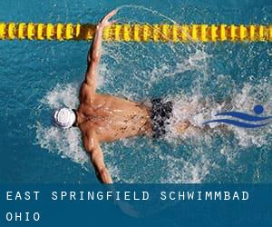 East Springfield Schwimmbad (Ohio)