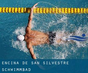 Encina de San Silvestre Schwimmbad