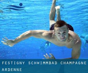 Festigny Schwimmbad (Champagne-Ardenne)