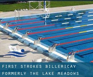 First Strokes Billericay (Formerly the Lake Meadows Swimming Pool)