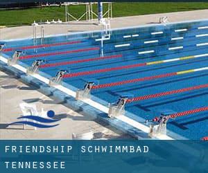 Friendship Schwimmbad (Tennessee)