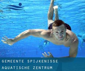 Gemeente Spijkenisse Aquatische Zentrum