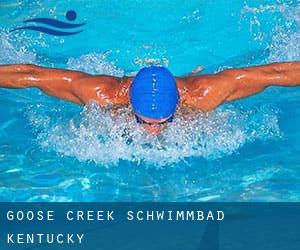 Goose Creek Schwimmbad (Kentucky)