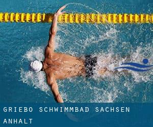 Griebo Schwimmbad (Sachsen-Anhalt)