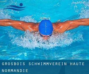 Grosbois Schwimmverein (Haute-Normandie)