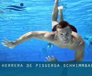 Herrera de Pisuerga Schwimmbad