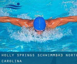 Holly Springs Schwimmbad (North Carolina)