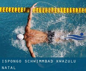 Ispongo Schwimmbad (KwaZulu-Natal)