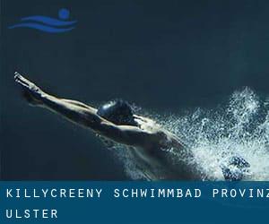 Killycreeny Schwimmbad (Provinz Ulster)