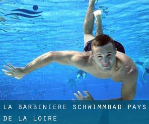 La Barbinière Schwimmbad (Pays de la Loire)