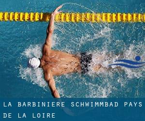 La Barbinière Schwimmbad (Pays de la Loire)