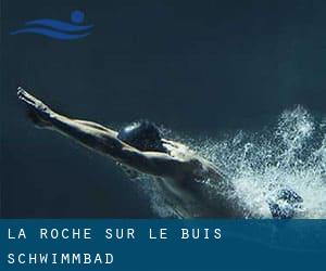 La Roche-sur-le-Buis Schwimmbad