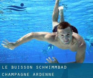 Le Buisson Schwimmbad (Champagne-Ardenne)