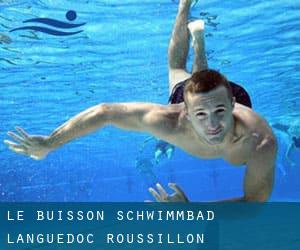 Le Buisson Schwimmbad (Languedoc-Roussillon)