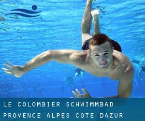 Le Colombier Schwimmbad (Provence-Alpes-Côte d'Azur)