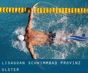 Lisagoan Schwimmbad (Provinz Ulster)