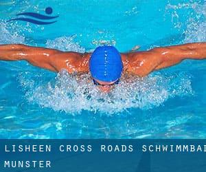 Lisheen Cross Roads Schwimmbad (Munster)