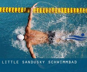 Little Sandusky Schwimmbad