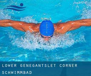 Lower Genegantslet Corner Schwimmbad