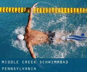 Middle Creek Schwimmbad (Pennsylvania)